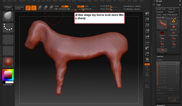Creation of A colt: Step 13